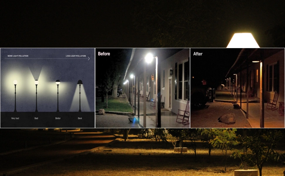 Exploring the Latest Innovations image